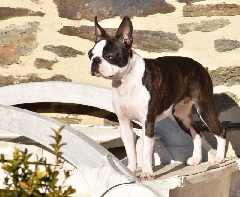 Publication : de Crocs Minilus Auteur : AC