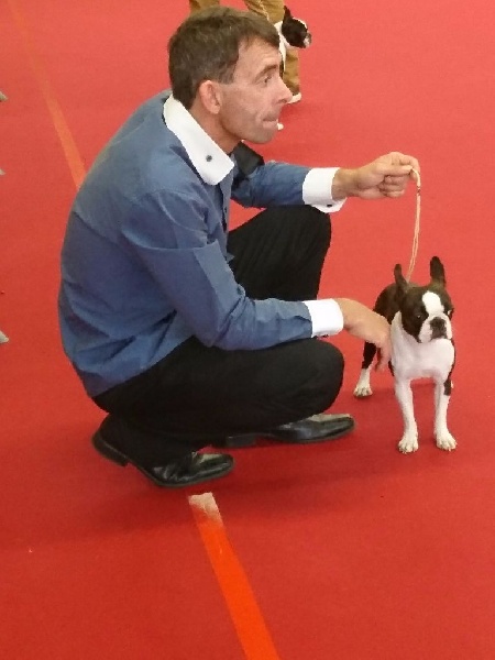 Publication : de Crocs Minilus Auteur : AC