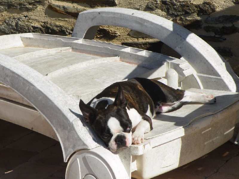 Publication : de Crocs Minilus Auteur : AC