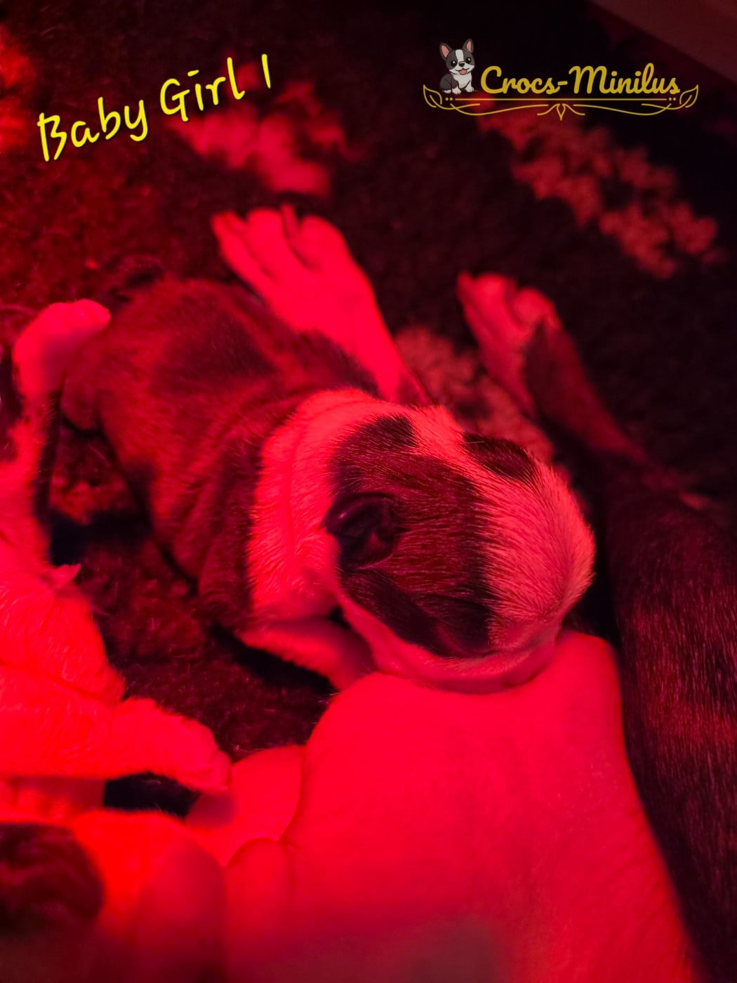 Baby Girl 1