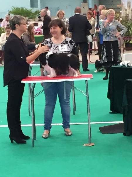 Iris flower De Mayobé - Très bon