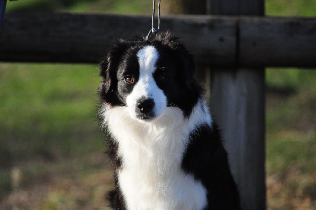 Publication : Of Sparkling River