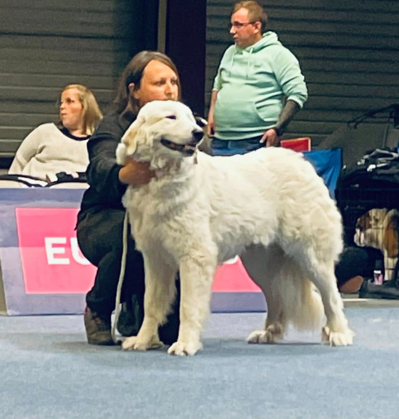 Ustaritz Du Massif De l'Esterel