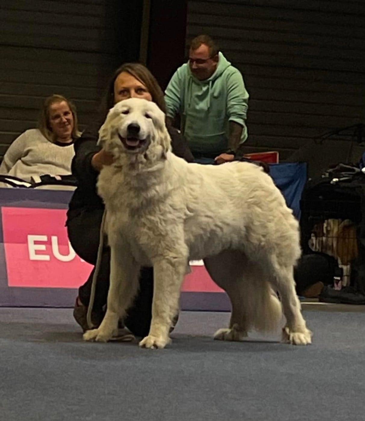 Ustaritz Du Massif De l'Esterel