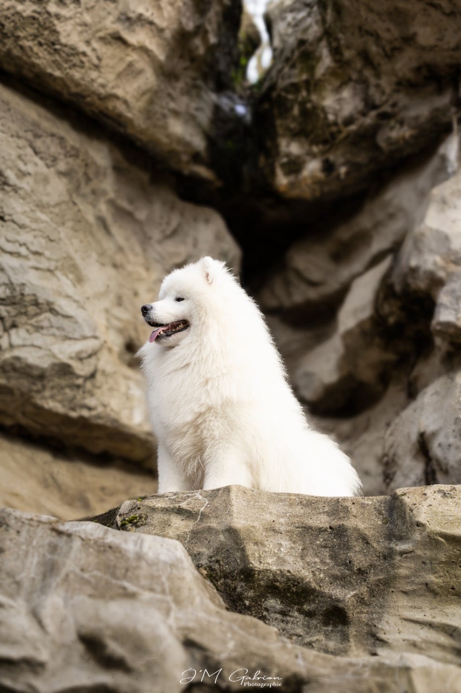 LORD Z LIMANOWSKIEJ KOTLINY