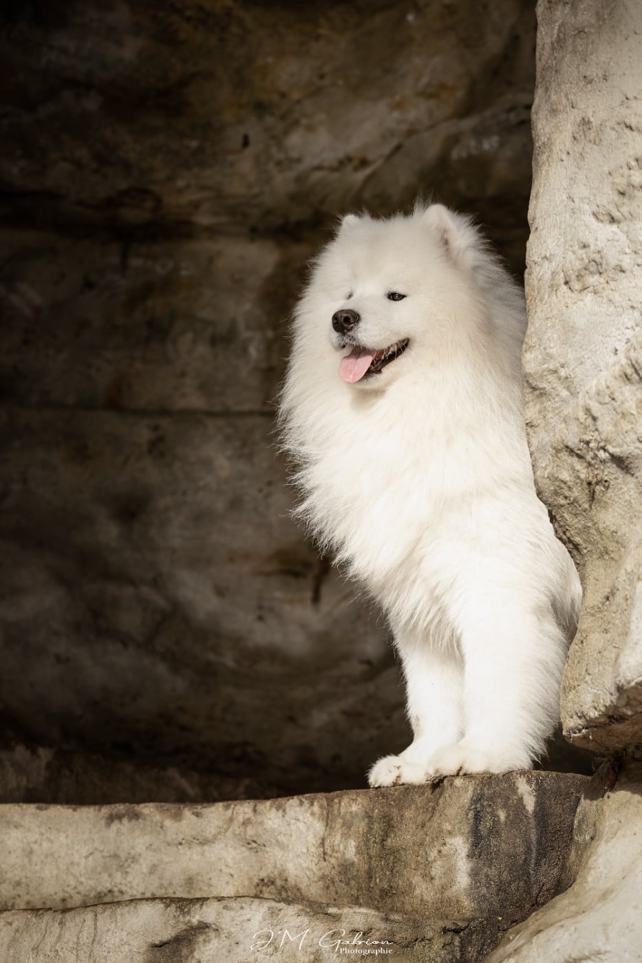 LORD Z LIMANOWSKIEJ KOTLINY