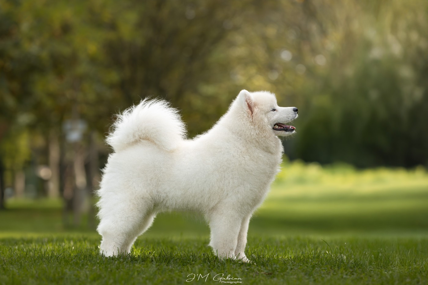 A STAR IS BORN Du Massif De l'Esterel