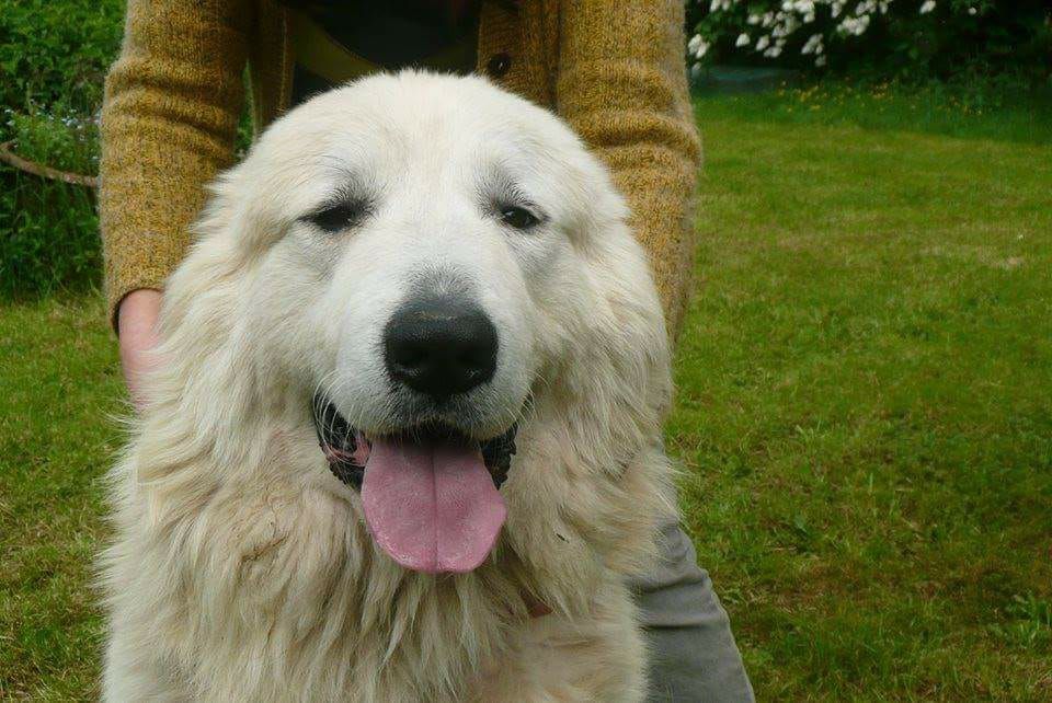 Publication : Du Massif De l'Esterel