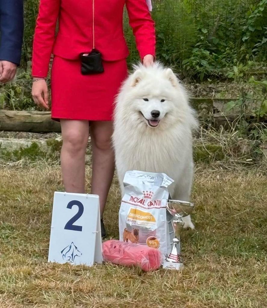 CH. zvyozdnyi mir Brooklyn east river - 1 EXCELLENT - BOB MEILLEUR DE RACE - RBIS RESERVE BEST IN SHOW