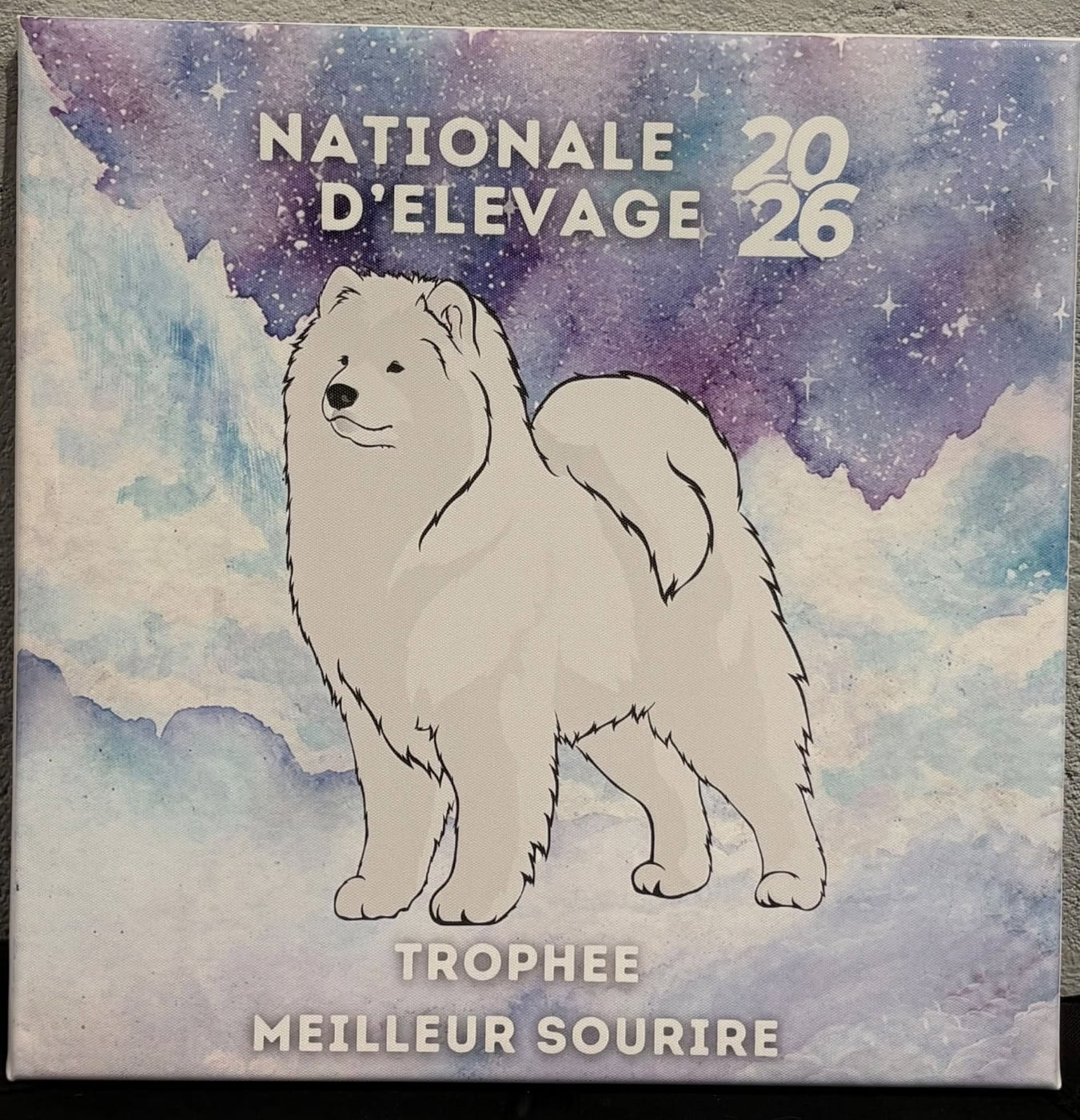 arctic frend POWERFUL SPIRIT - TROPHEE DU MEILLEUR SOURIRE / 85 SAMOYEDE INSCRITS