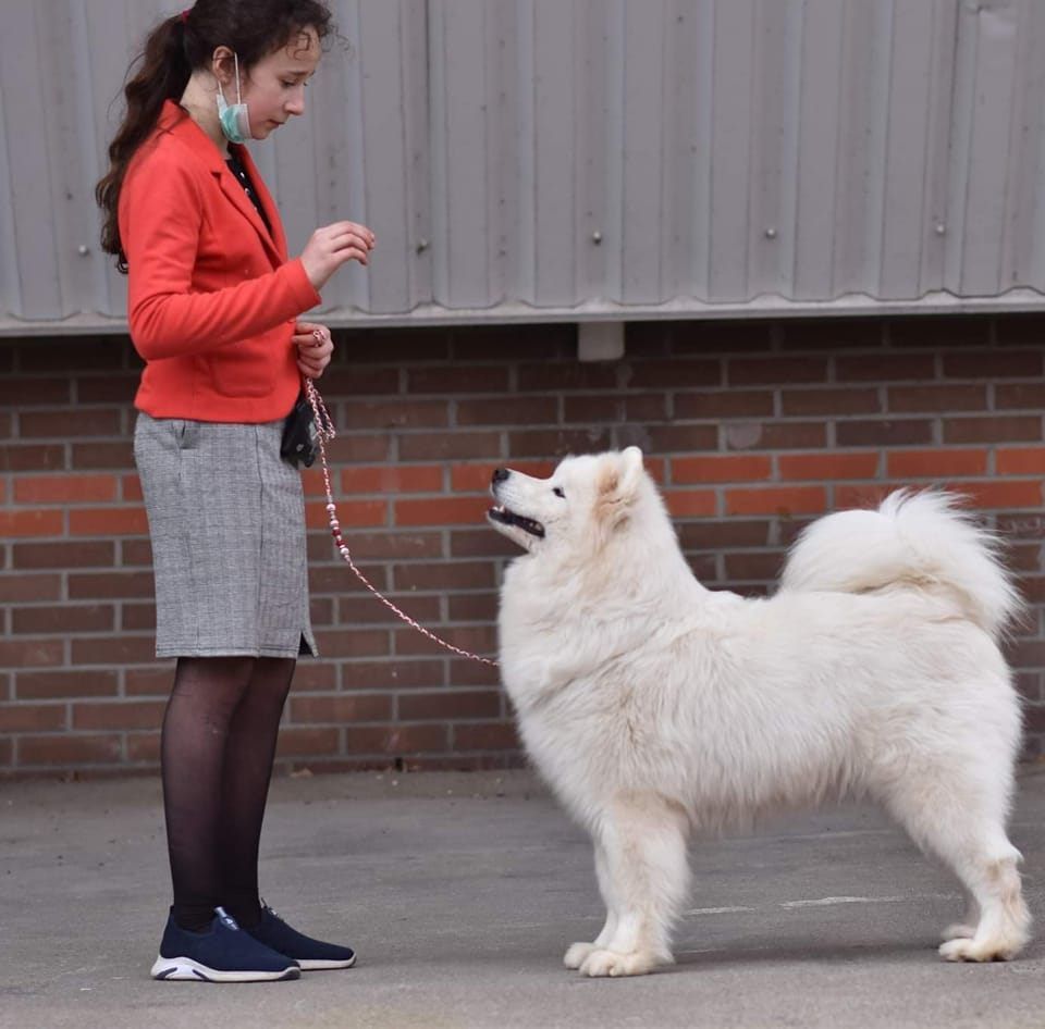 gold charm Rose victory - 1ER EXCELLENT - CACS