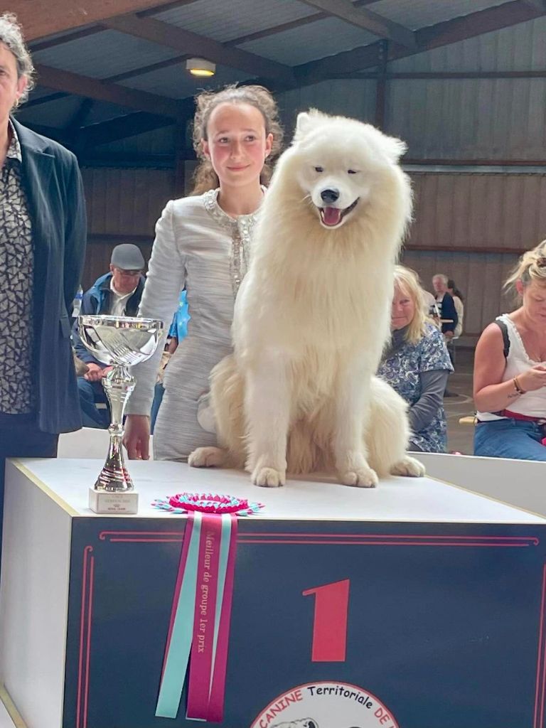 CH. zvyozdnyi mir Brooklyn east river - BOG BEST OF GROUP 1