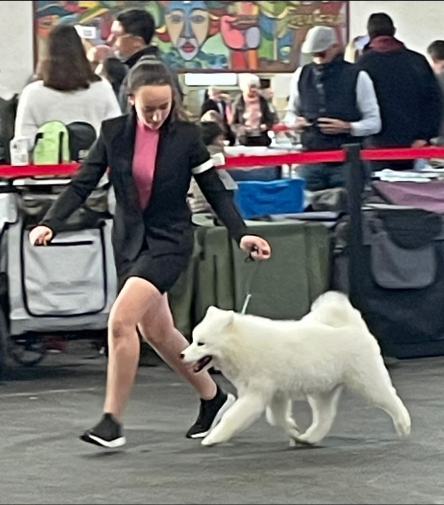 Poker face de la casa de la nieve - 1 TRÈS PROMETTEUR - BOB BABY