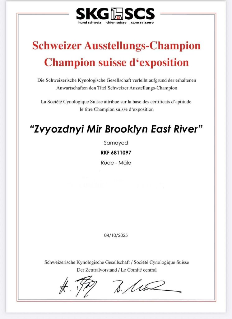CH. zvyozdnyi mir Brooklyn east river - 1 EXCELLENT - CAC - CACIB - BOS