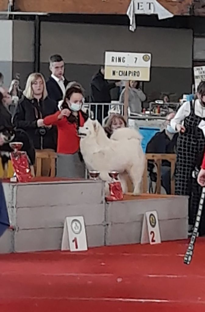 gold charm Rose victory - JUNIOR HANDLING - 2EME