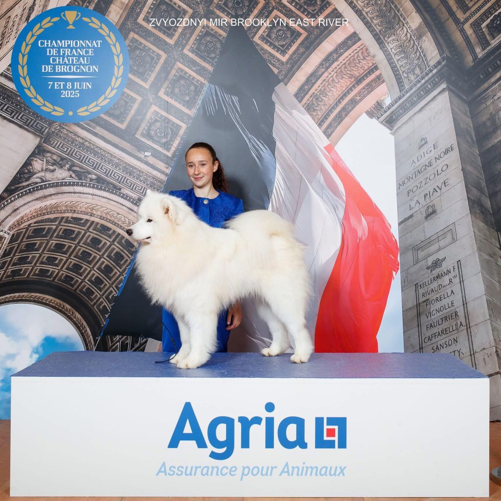 CH. zvyozdnyi mir Brooklyn east river - 2 EXCELLENT - RCACS