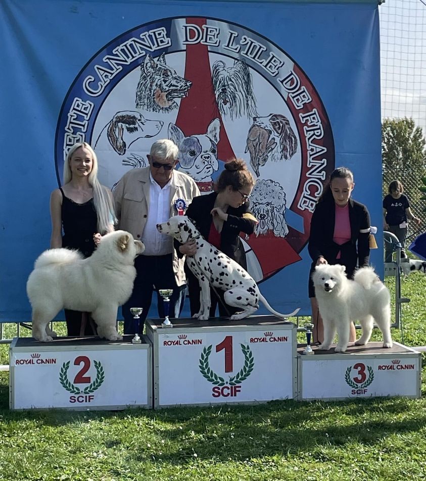 Poker face de la casa de la nieve - 1 TRÈS PROMETTEUR - BOB BABY - BEST IN SHOW 3