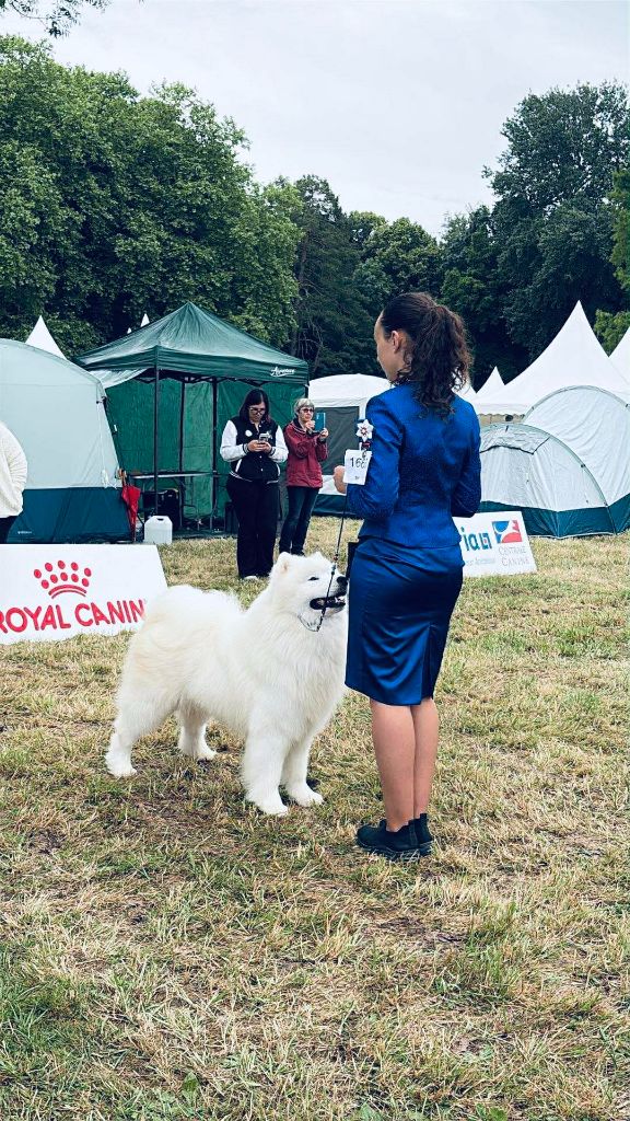 CH. zvyozdnyi mir Brooklyn east river - 1 EXCELLENT - CACS - RCACIB