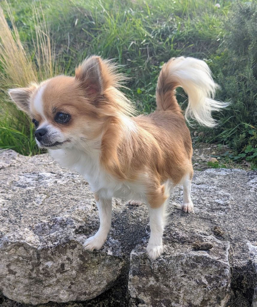 Utmost smile Ladi Lafé