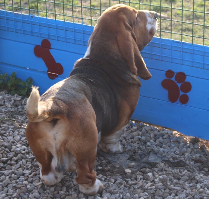 Publication : Des Rives De Firenza