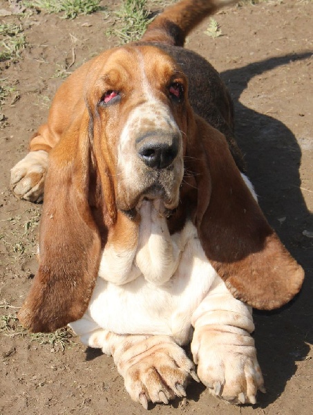 Publication : Des Rives De Firenza