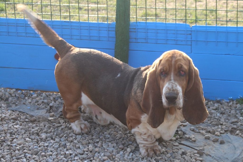 Publication : Des Rives De Firenza