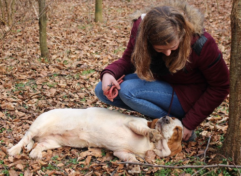 Publication : Der Lenn