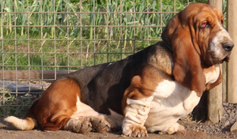 Publication : Des Rives De Firenza