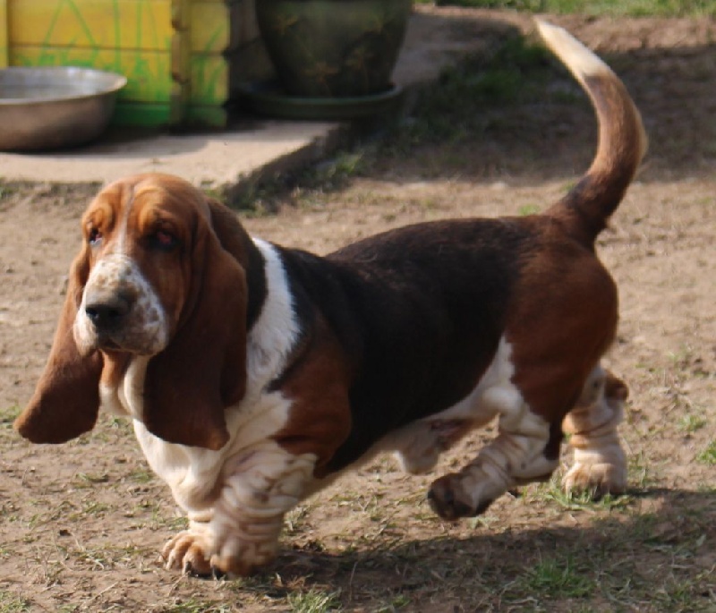 Publication : Des Rives De Firenza