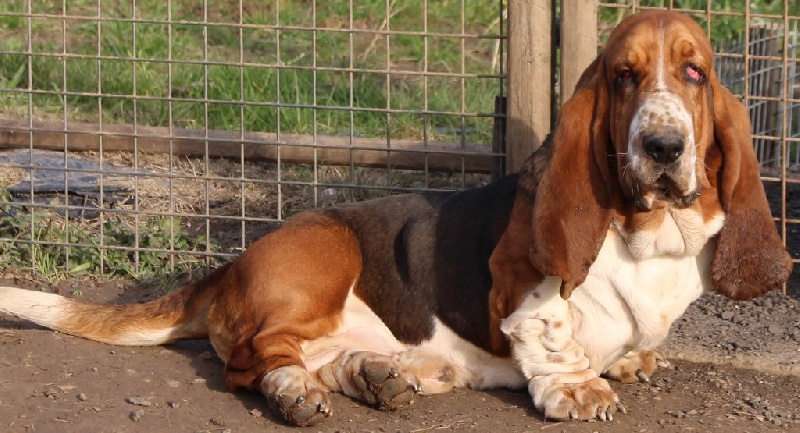 Publication : Des Rives De Firenza