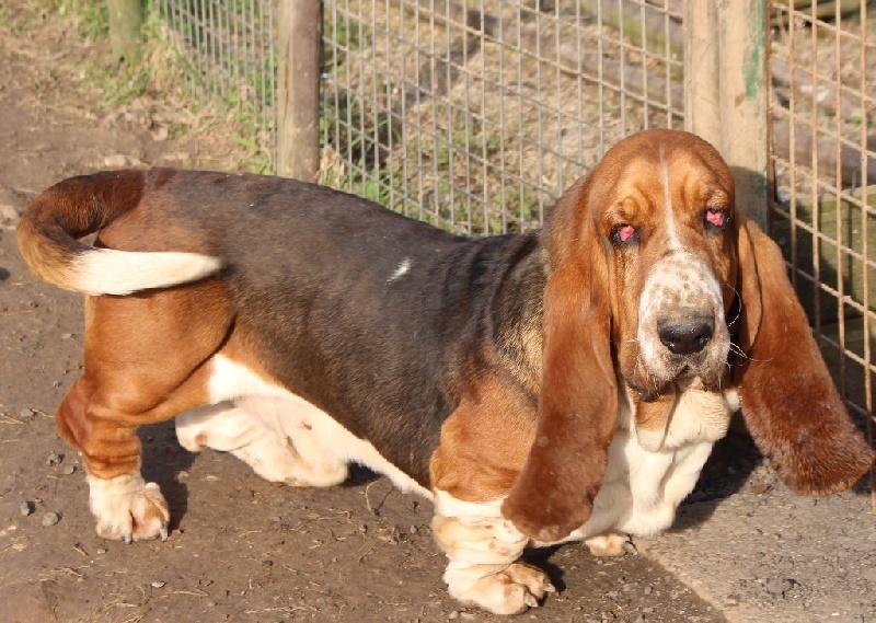 Publication : Des Rives De Firenza