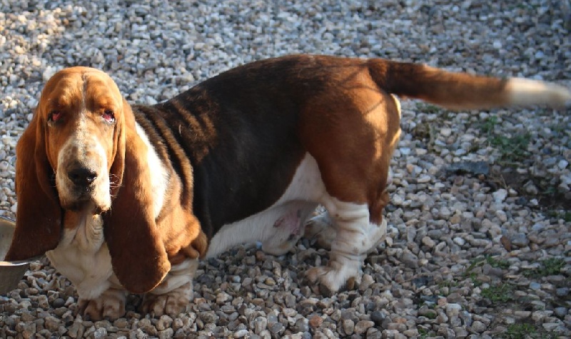 Publication : Des Rives De Firenza