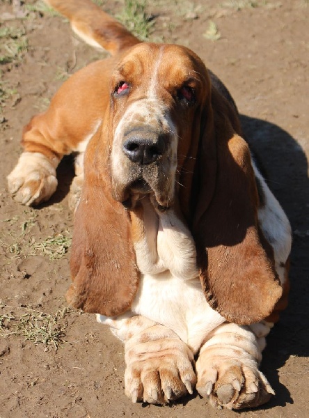 Publication : Des Rives De Firenza