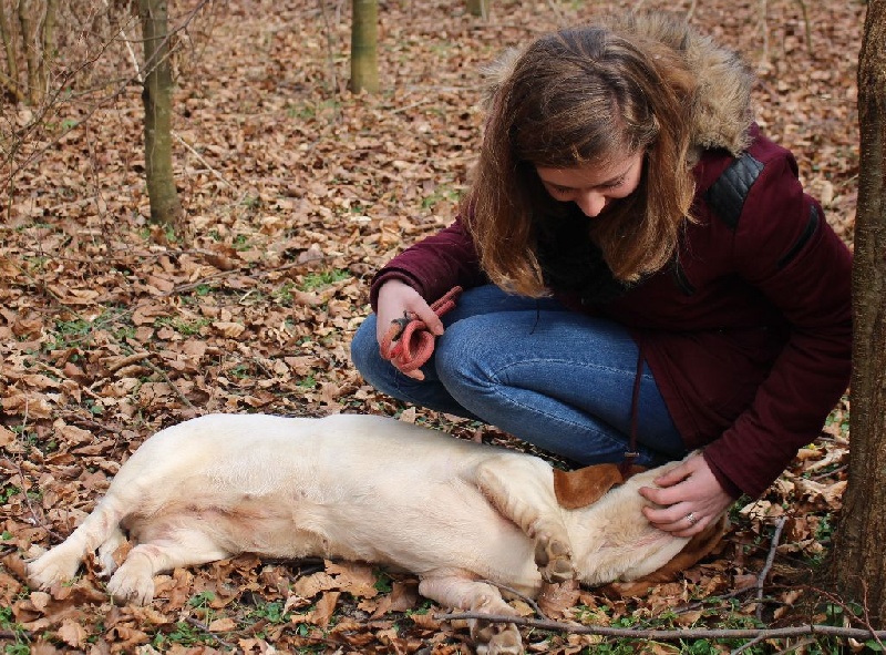 Publication : Der Lenn