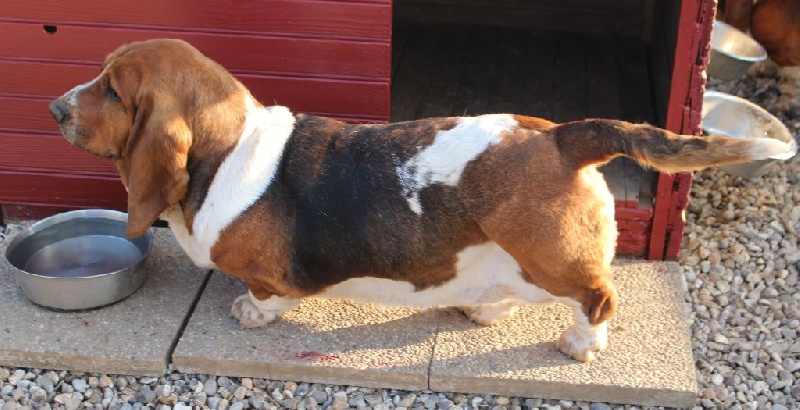 Publication : Des Rives De Firenza