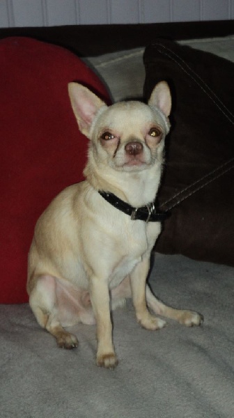 Publication : Du Temple Des Little Boudhas