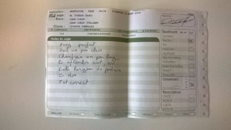 Ibiza (Sans Affixe) - 3ème Très Bon