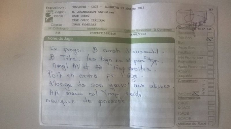 Ibiza (Sans Affixe) - Très Bon