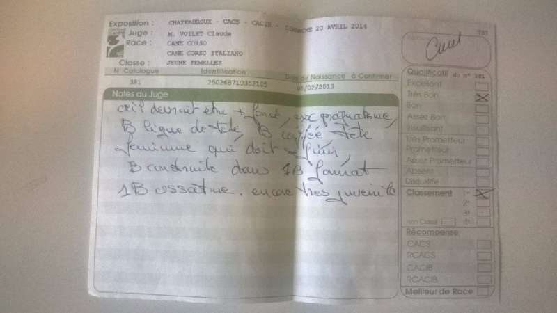 Ibiza (Sans Affixe) - 1er très bon