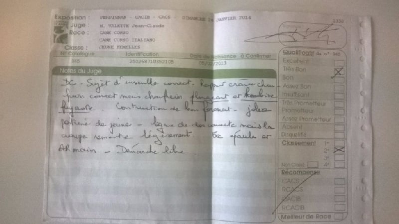 Ibiza (Sans Affixe) - 2 ème Très Bon