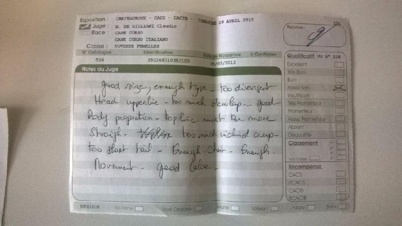 Ibiza (Sans Affixe) - Assez Bon