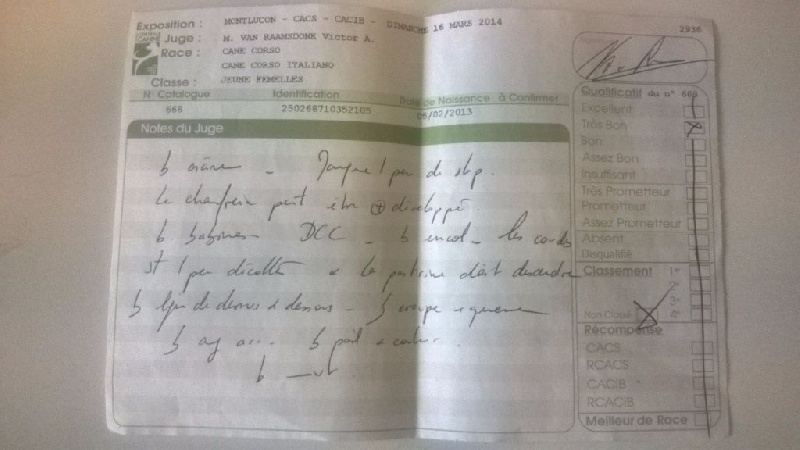 Ibiza (Sans Affixe) - Très Bon