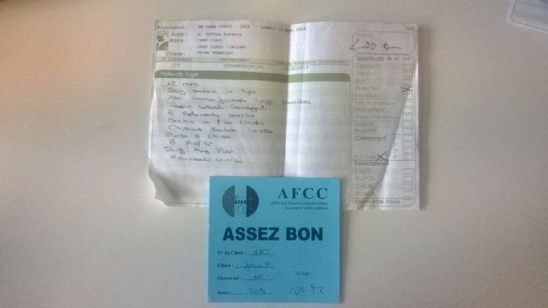 Ibiza (Sans Affixe) - Assez Bon