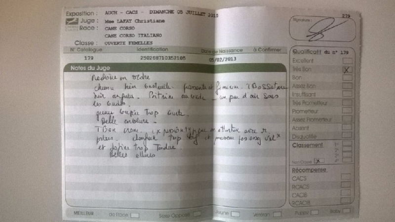 Ibiza (Sans Affixe) - Très Bon