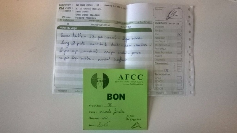 Ibiza (Sans Affixe) - Bon