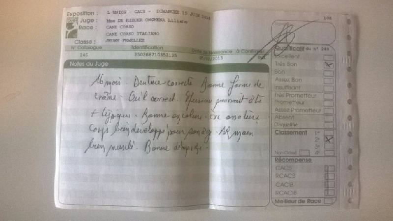 Ibiza (Sans Affixe) - 2 ème Très Bon