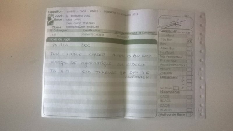 Ibiza (Sans Affixe) - Très Bon