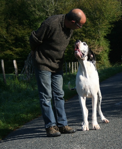 Candy sugar du Petit Monterac