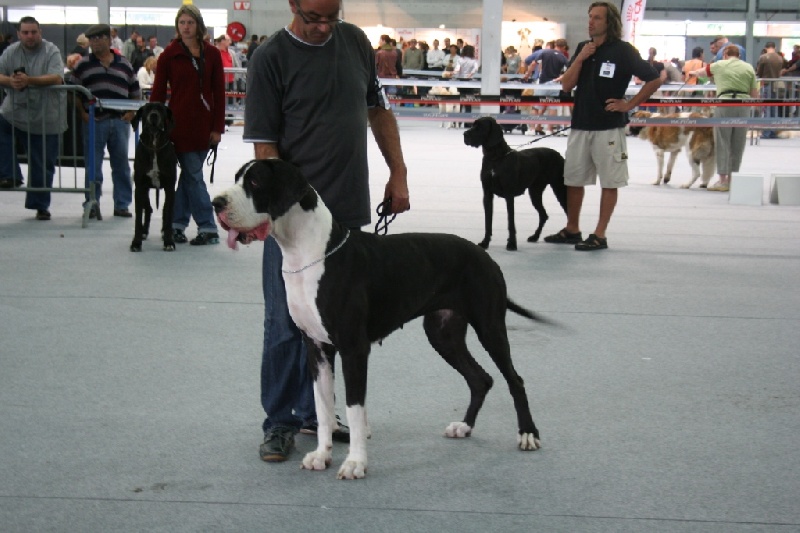 Brigitte du Petit Monterac - CACS et RIB