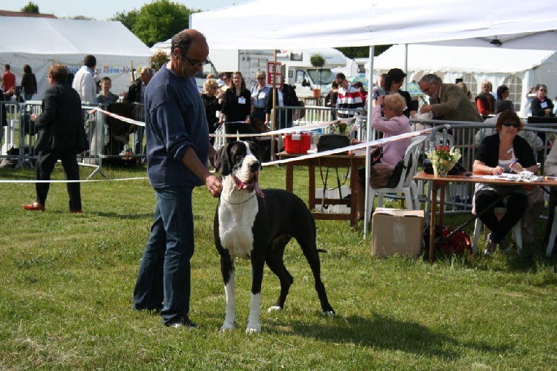 Brigitte du Petit Monterac - 3eme EXCELLENT Classe Ouverte